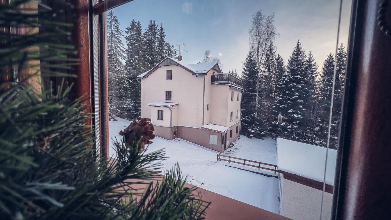 Apartmany Domino Zelezna Ruda Bagian luar foto