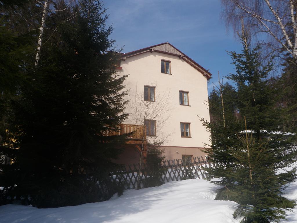 Apartmany Domino Zelezna Ruda Bagian luar foto