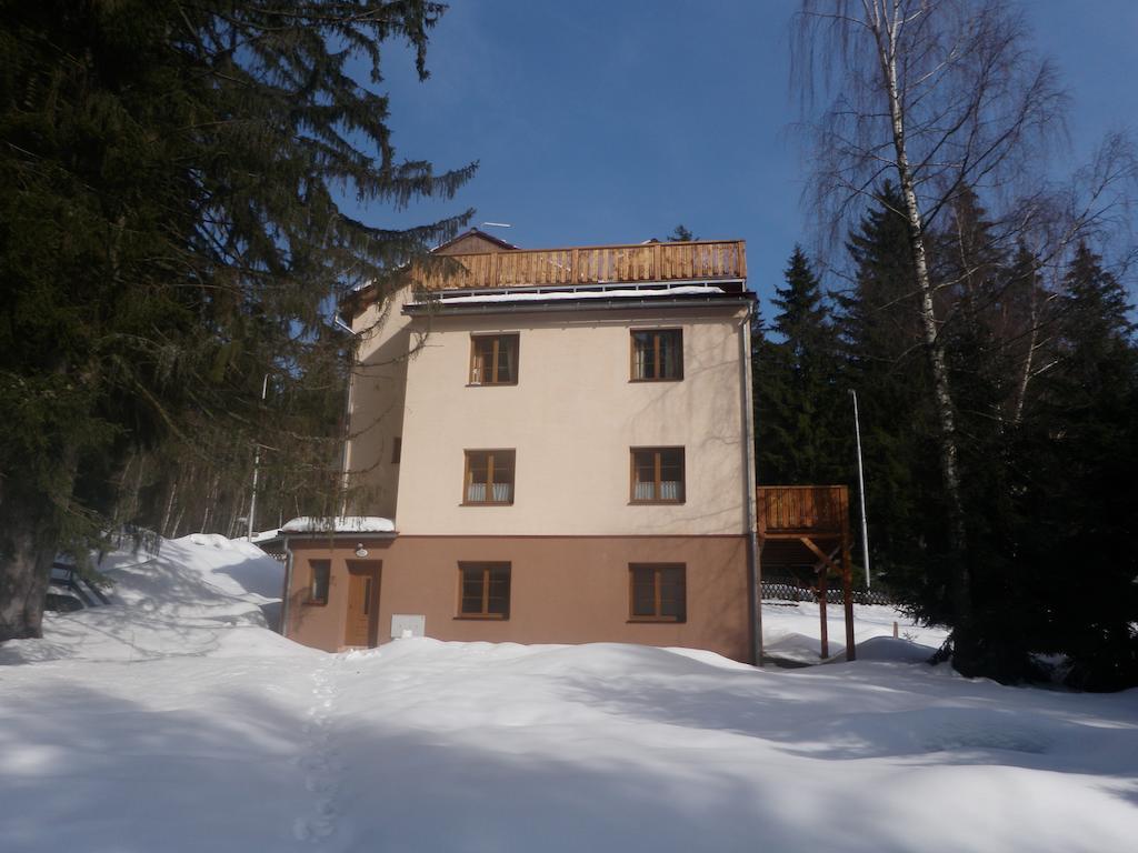 Apartmany Domino Zelezna Ruda Bagian luar foto