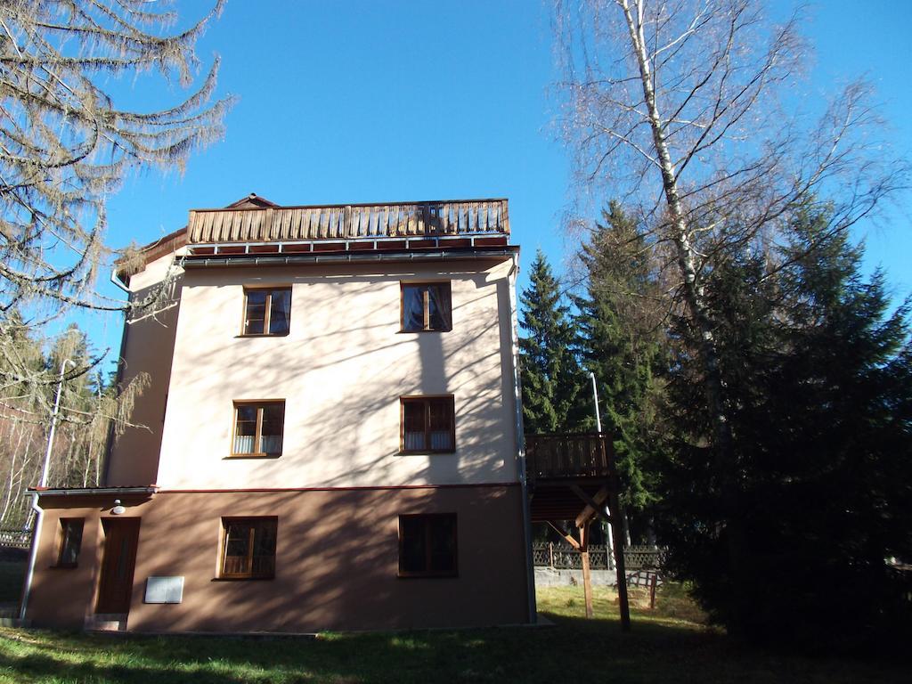Apartmany Domino Zelezna Ruda Bagian luar foto