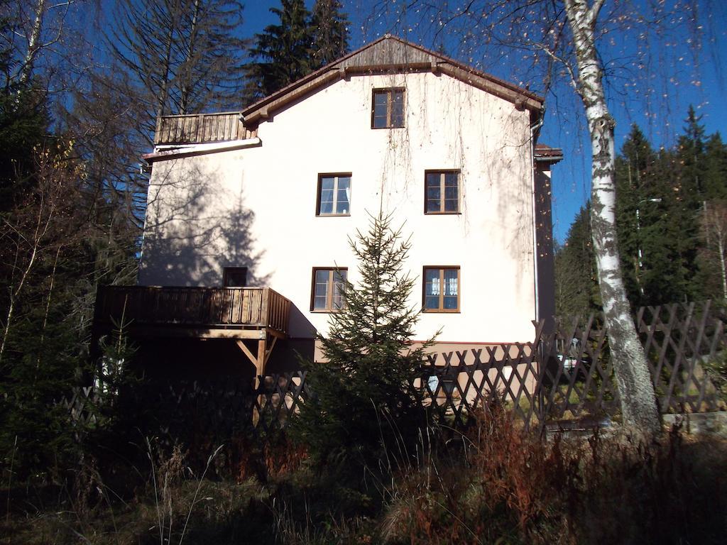 Apartmany Domino Zelezna Ruda Bagian luar foto