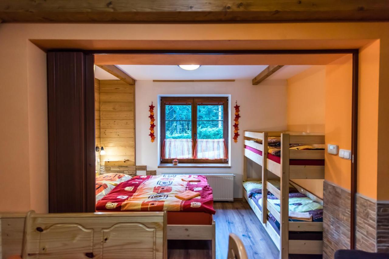 Apartmany Domino Zelezna Ruda Bagian luar foto